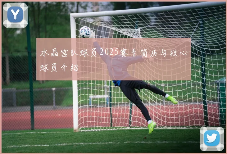 水晶宫队球员2025赛季简历与核心球员介绍