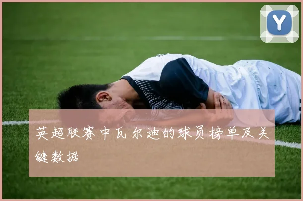 英超联赛中瓦尔迪的球员榜单及关键数据