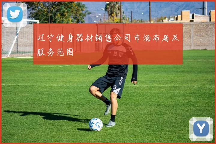 辽宁健身器材销售公司市场布局及服务范围