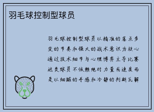 羽毛球控制型球员